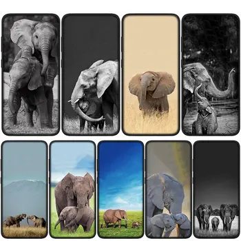 Aafrika Elevant Pehme Kaas Case for Samsung Galaxy S20 S21 Fe S22 S23 Ultra S8 Pluss A12 A13 A21S A71 S7 Telefoni Korpus